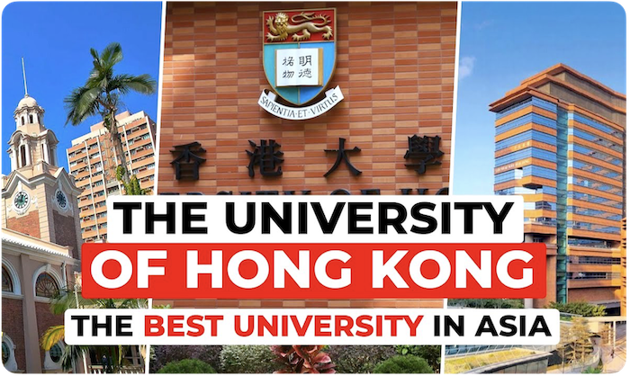 Strong Foundations in Tech & Business